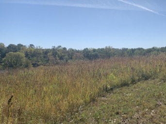 Photo of hillside