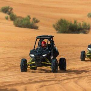 Dubai Solo Buggy Tour