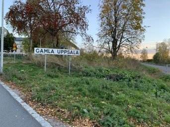 Went to Uppsala, Sweden