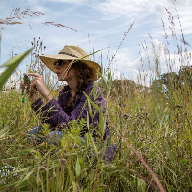 Student doing research in a field at CERA