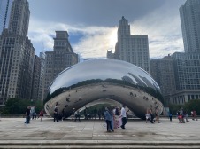 Silver bean