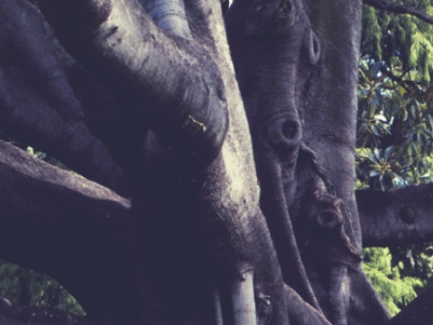 Grinnell College Homepage